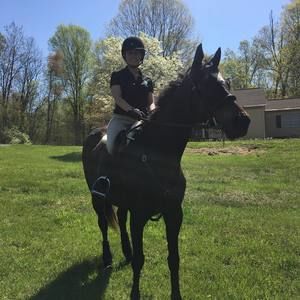 Meet your Posher, Hailey